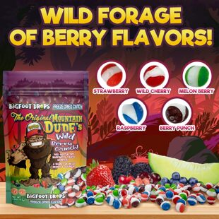 BigFoot Drops - 大脚怪酸滴糖冻干糖果什锦口味袋装聚会礼品零食
