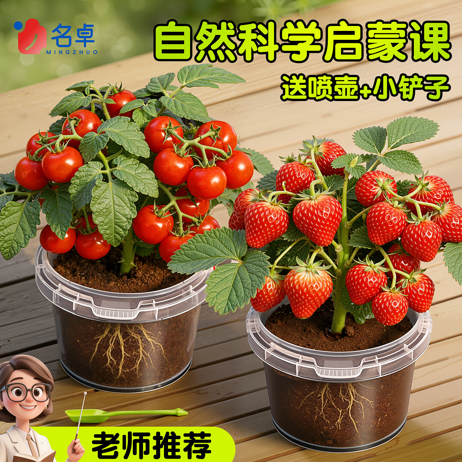 儿童种植小盆栽太阳花向日葵草莓花种籽子植物生长观察蔬菜种子,鲜花速递/花卉仿真/绿植园艺,绿植,淘宝优惠券,粉丝福利购,淘宝优惠卷