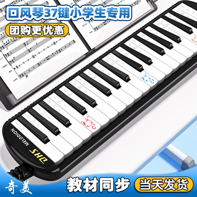 奇美口风琴37键小学生专用