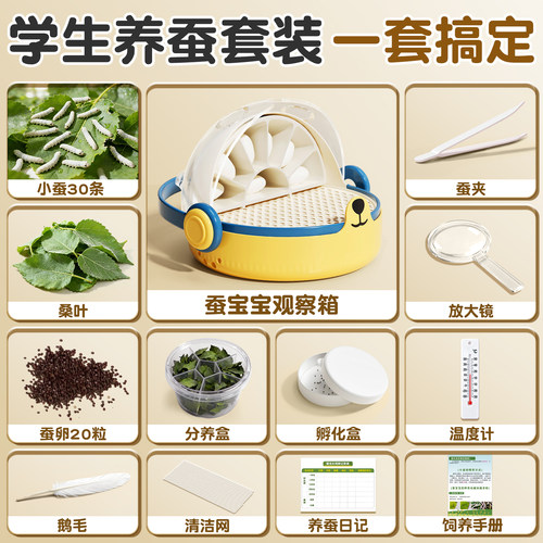 【学校推荐】养蚕套装