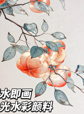 珠光水彩固体不透明彩绘颜料画画敦煌工具套装美术生专用国画故宫仙粉膏36色便携式分装盒水粉闪金白色调色盒