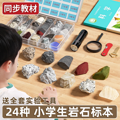四年级科学下册岩石标本套装