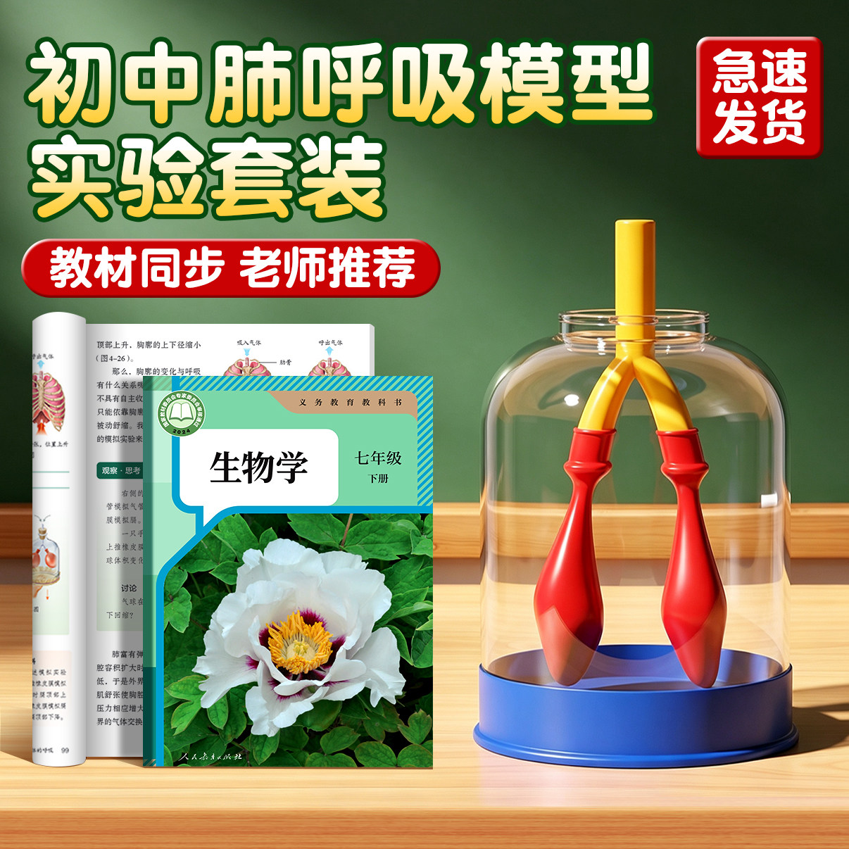 【教材同步】肺呼吸模拟器演示器图片
