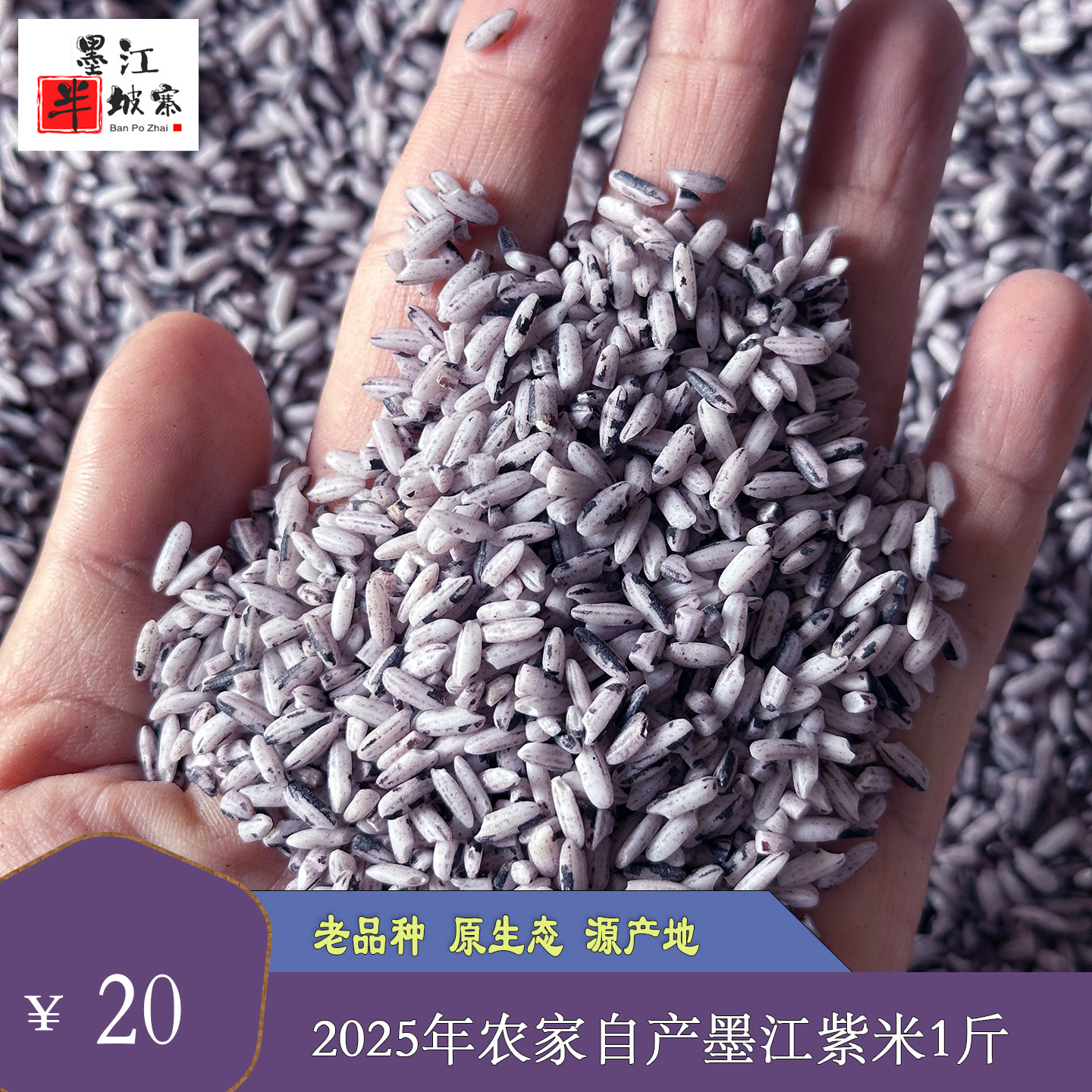 云南特产2025年老品种墨江紫米现碾现发农家自产紫糯米1斤包邮