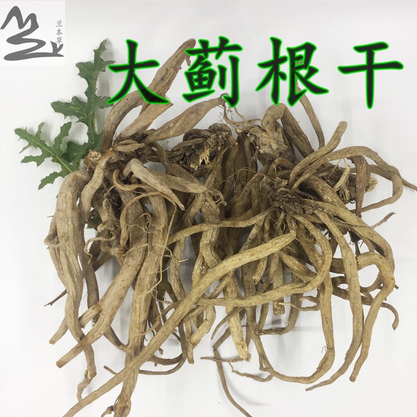 野外晒干大蓟根刺蓟马蓟虎蓟内叶刺头中药材大蓟根干货250克500克-封面