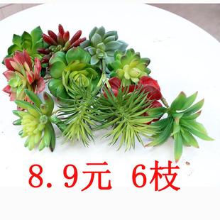 仿真多肉摆件假多肉植物桌摆小绿植热带景观家居点缀装饰小花小草