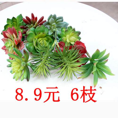 仿真多肉摆件假多肉植物桌摆