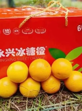 湖南正宗树上熟永兴冰糖橙现摘现发甘甜多汁水果
