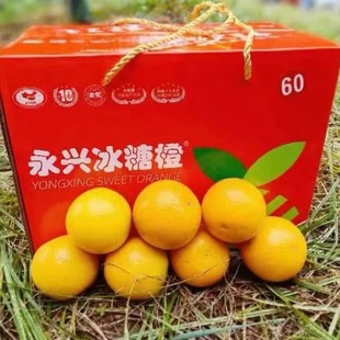 湖南正宗树上熟永兴冰糖橙现摘现发甘甜多汁水果