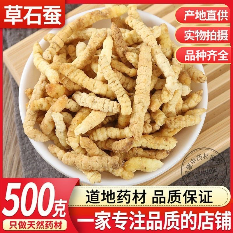 虫草参正品草石蚕中药材500g包邮干土冬虫草地蚕白虫草泽兰根地参