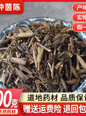 野生金钟茵陈中药材 阴行草 换马甲 铃茵陈 黄花茵陈 500g克包邮