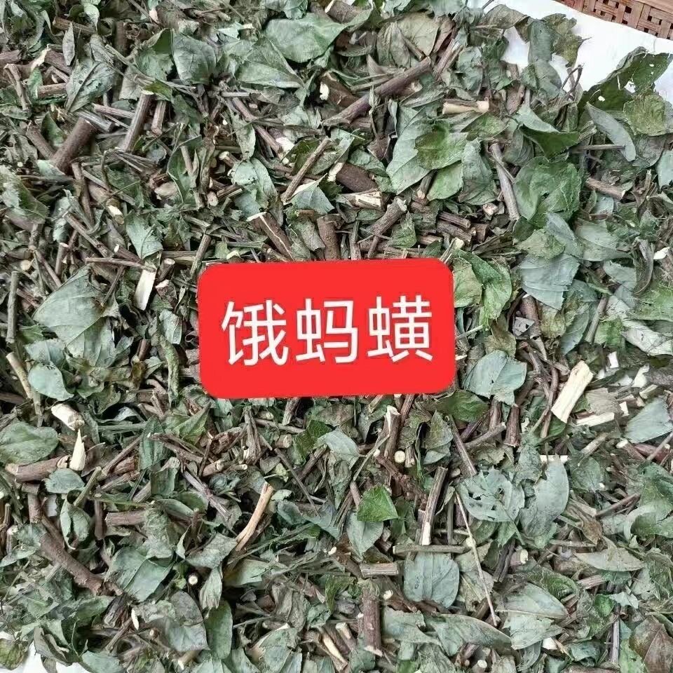 野生正品 中草药 小槐花 饿蚂蝗 山蚂蝗 小儿疳积 野生新货500克