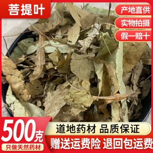 中药材菩提泡茶菩提叶茶500克包邮  帝王花椴树叶 菩提子花茶安神