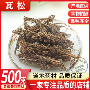 瓦松野生中药材500g包邮瓦花向天草酸塔瓦松花瓦松瓦莲花向天草天
