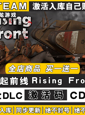 Rising Front 崛起前线 steam激活码CDKEY入库国区全DLC电脑游戏