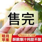 正宗宝山上柴明月苹果青森水蜜桃脆甜爆汁零酸