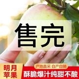 正宗宝山上柴明月苹果青森水蜜桃脆甜爆汁零酸