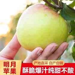 正宗宝山上柴明月苹果青森水蜜桃孕妇脆甜爆汁零酸时令现摘