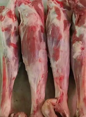 羊腿玉洲峰右玉羊肉羊小腿