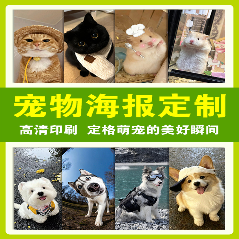 宠物店海报定制设计墙面布置
