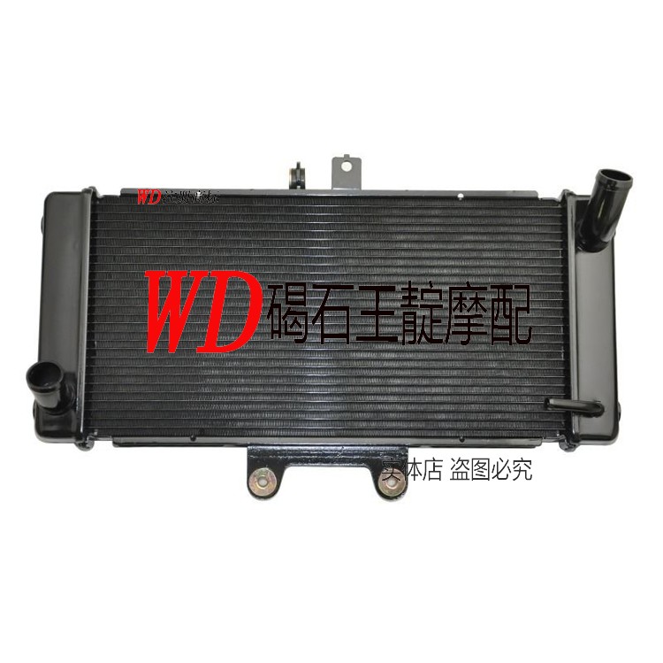 王靛摩配  GSR400 600 大BK 水箱总成 B-KING 水冷器 散热器
