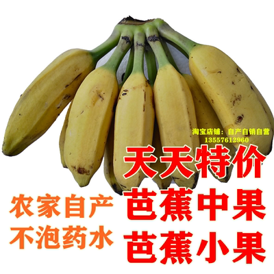 广西新鲜大芭蕉 小果香蕉新鲜包邮 酸甜芭蕉 大蕉牛角蕉 皮绿芭蕉