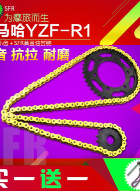 适用于雅马哈YZF1000 R1 XJR1300 MT01 FZ1N链轮大小齿轮链盘牙盘
