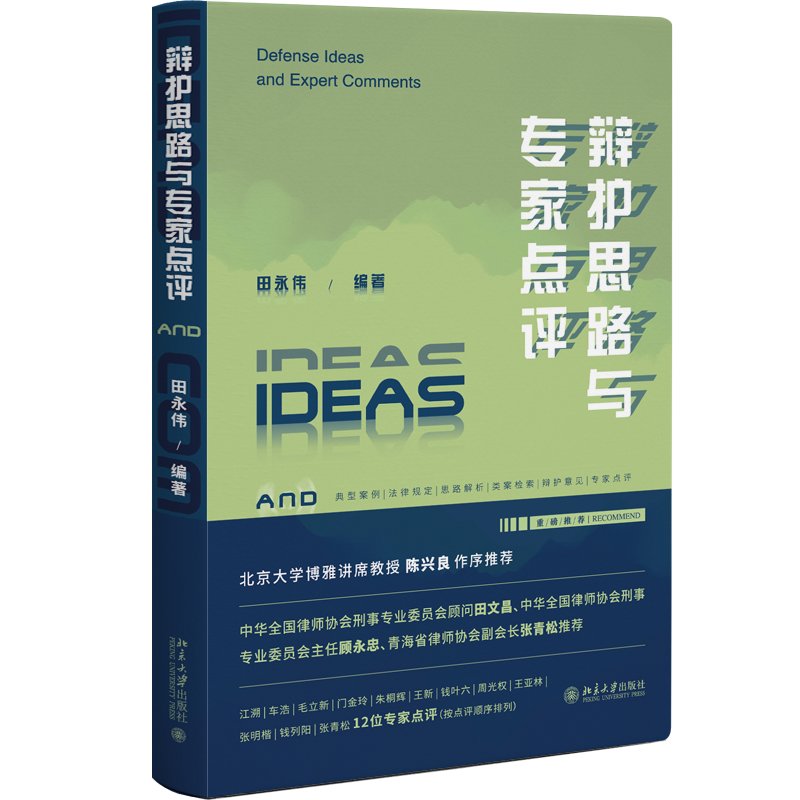 辩护思路与专家点评 田永伟 北京大学出版社 9787301341353