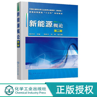 李延吉 杨天华 刘辉 9787122354648 社 新能源概论第2版 化学工业出版 第二版
