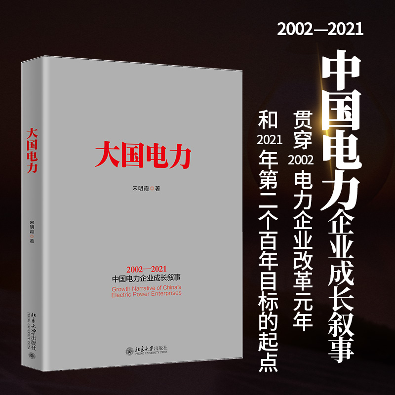 大国电力 宋明霞 著 2002—2021年中国电力企业成长叙事 西电东送DIYI个工程 三峡工程 长江大保护 北京大学出版社 9787301324950