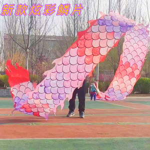 广场健身舞龙彩带飘带初学者成人中老年舞龙甩龙可水洗