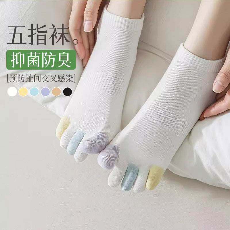 五指袜子女款秋季纯棉透气糖果色分趾脚趾袜诸暨秋天防臭吸汗短袜