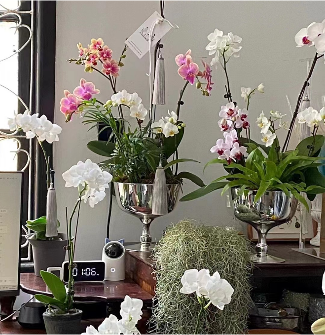 欧式高脚银色玻璃花瓶摆件 镜面电镀银花器客厅餐桌摆件装饰品