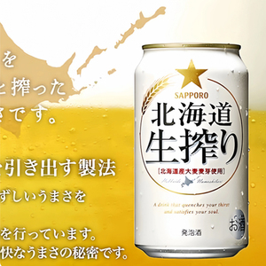 SAPPORO三宝乐 日本进口札幌空知SORACHI1984麦芽啤酒350ml罐装