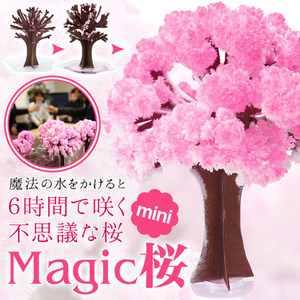 圣诞节校园外流行怀旧圣诞纸树会生长开花的结晶树雪花魔幻树玩具