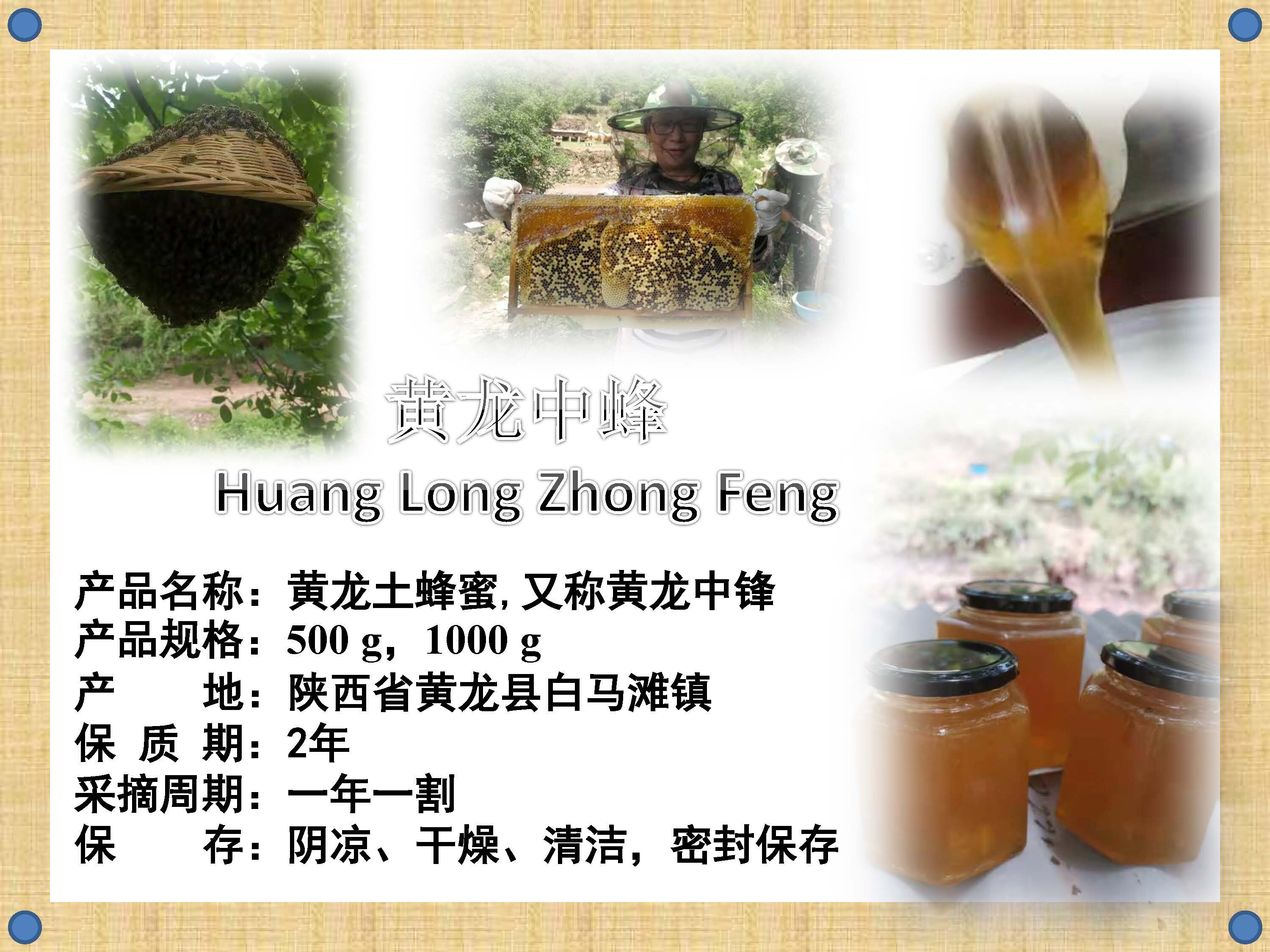 陕西黄龙中蜂土蜂蜜野生天然原蜜无添加农户深山500g