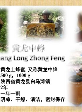 陕西黄龙中蜂土蜂蜜野生天然原蜜无添加农户深山500g