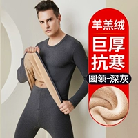 Темно -серая - круглая шея в 3 раза огромная толщина [немного толще плюс бархатный стиль на 38% толще] [один набор]