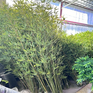 仿真植物竹子室内客厅摆件大型落地假竹叶绿植竹装饰盆栽造景