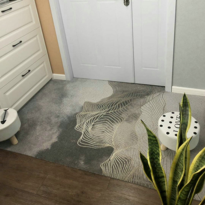 进门门口客厅入门风丝圈地垫