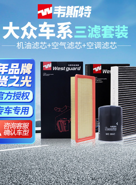 韦斯特适用于大众帕萨特速腾迈腾高尔夫斯柯达空气空调机油滤芯DZ