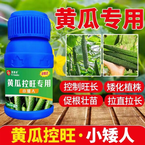 黄瓜专用控旺药促根壮苗小矮人