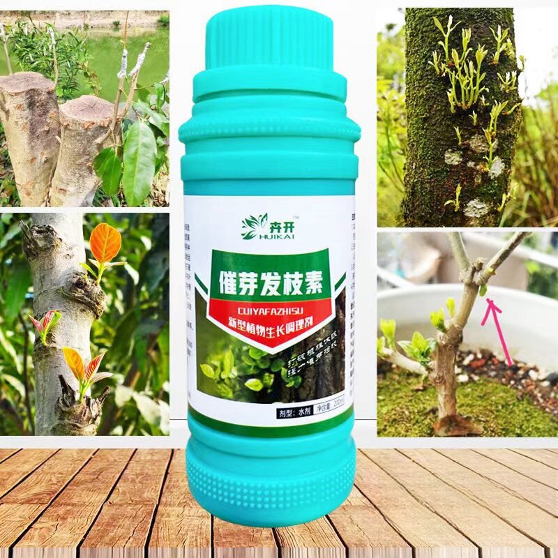 植物发枝素果树催芽抽枝宝苗木花卉催芽剂促进细胞分裂生长调节液