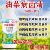 油菜专用药油菜菌核病霜霉病猝倒根腐病油菜病菌清油菜病害防治