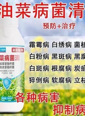 油菜专用药油菜菌核病霜霉病猝倒根腐病油菜病菌清油菜病害防治