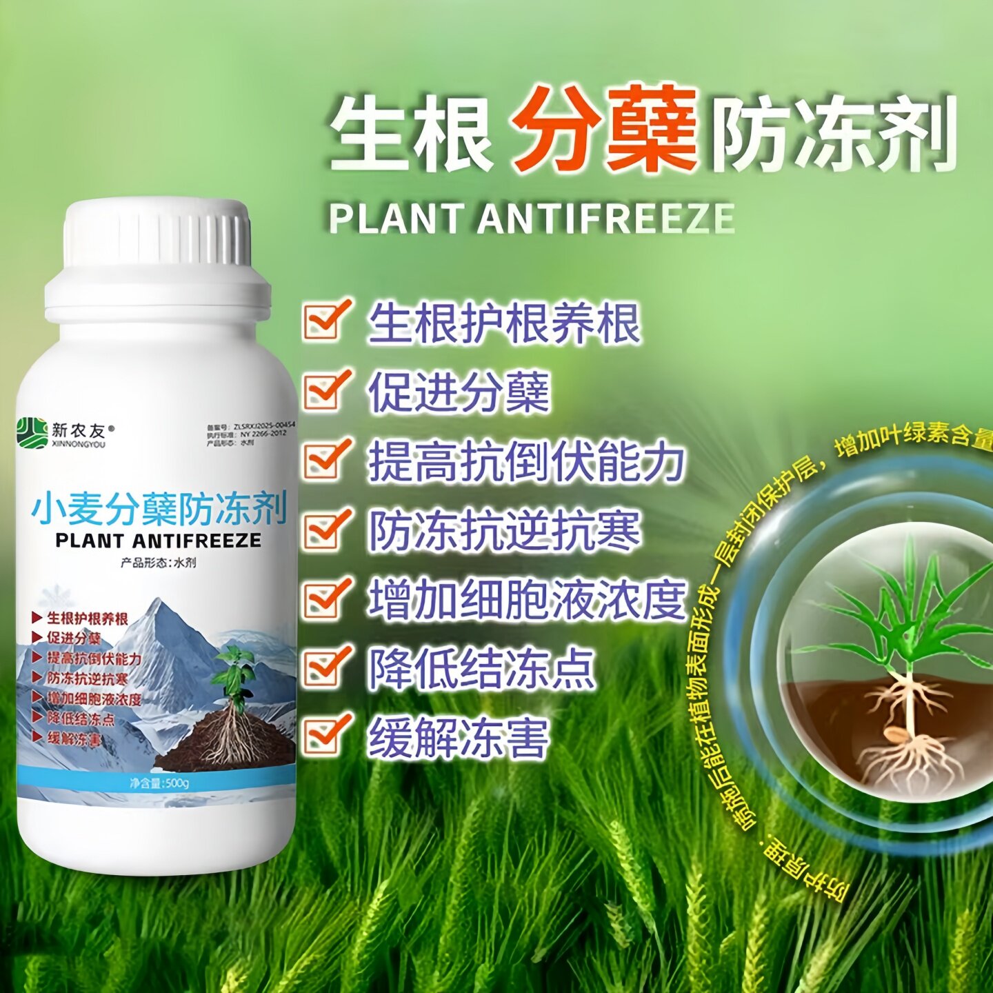 小麦分蘖防冻生根护根养根促分蘖