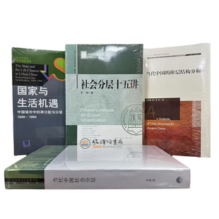 （全四册） 当代中国社会分层+国家与生活机遇+当代中国的阶层结构分析+社会分层十五讲 李强 周雪光 李路路 秦广强XZ