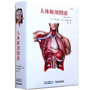 包邮 法 京版 人体解剖图谱：汉英法拉对照 J.M.布尔热里 北美 区域