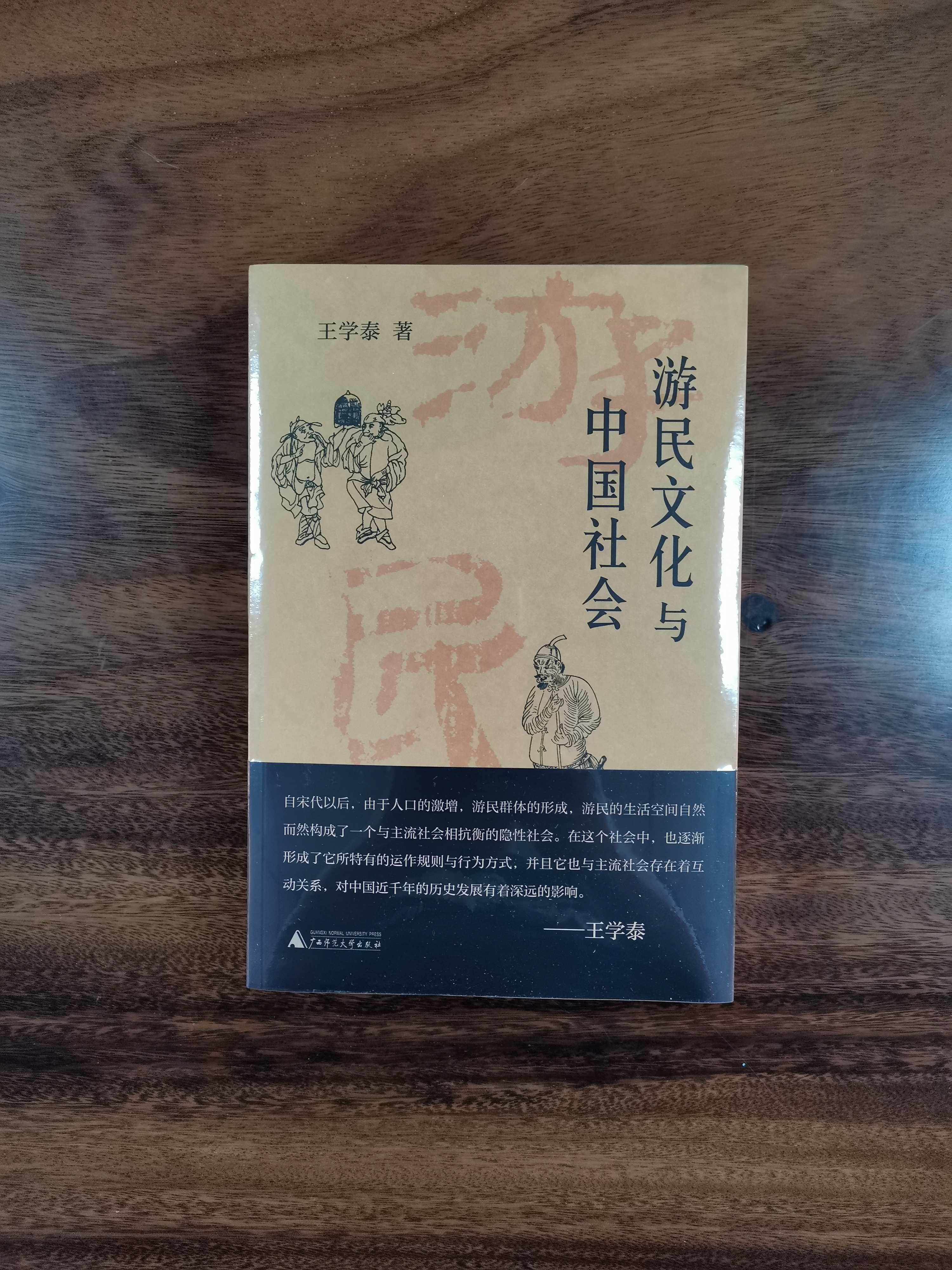 正版现货 王学泰文集：游民文化与中国社会 广西师范大学出版社  XZ属于什么档次？
