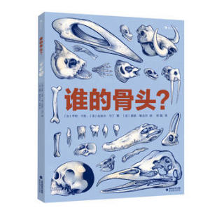 包邮 法 后浪 骨头？ 亨利·卡普 谁 区域